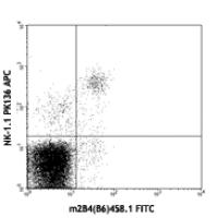 FITC anti-mouse CD244.2 (2B4 B6 Alloantigen)