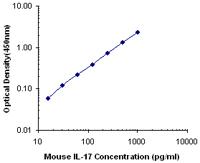 Purified anti-mouse IL-17A