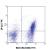 C57BL/6 splenocytes stained RA3-6B2 (B220) FITC and 29-2L17 PE