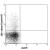 PMA+ionomycin-stimulated Lou rat splenocytes (6 hours) stained with DB-1 Alexa Fluor&reg; 647