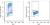 HEL cell line was pulsed with BrdU for one hour (upper panel) or without (lower panel) and then stained with anti-BrdU (clone 3D4) PerCP/Cy5.5 according to BioLegend BrdU staining procedure. Cells were subsequently stained with 1 microg of DAPI for DNA