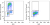 HEL cell line was pulsed with BrdU for one hour (upper panel) or without (lower panel) and then stained with anti-BrdU (clone 3D4) PerCP/Cy5.5 according to BioLegend BrdU staining procedure. Cells were subsequently stained with 1 microg of DAPI for DNA