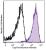 Thrombin-activated human peripheral blood platelets were stained with CD107a (clone H4A3) Brilliant Violet 421™ (filled histogram) or mouse IgG1,κ Brilliant Violet 421™ isotype control (open histogram).