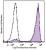 C57BL/6 mouse bone marrow cells were stained with Ly-6G/Ly6C (clone RB6-8C5) Brilliant Violet 570™ (filled histogram) or rat IgG2b, κ Brilliant Violet 570™ isotype control (open histogram). Data shown was gated on myeloid cell population