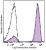 Human peripheral blood lymphocytes were stained with biotinylated CD3 (filled histogram) or mouse IgG1 isotype control (open histogram), followed with SAV-Brilliant Violet 421™.